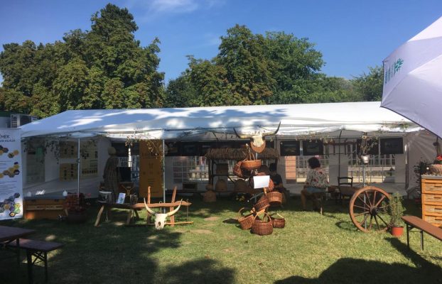 Nature and Environmental Protection Festival