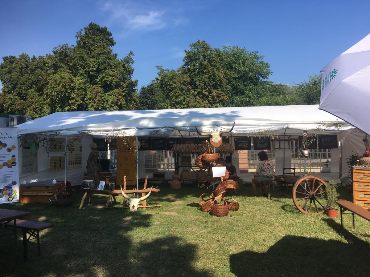Nature and Environmental Protection Festival