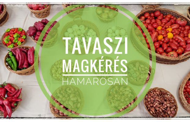 Mintakérés