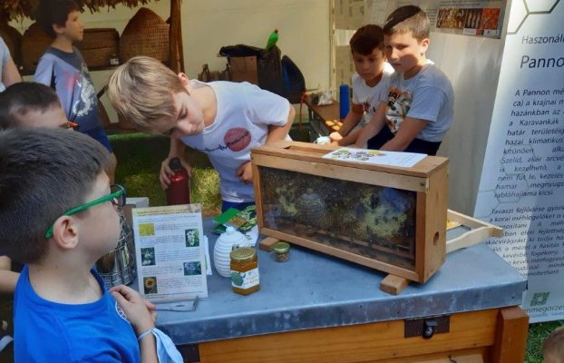 Nature and Environmental Protection Festival
