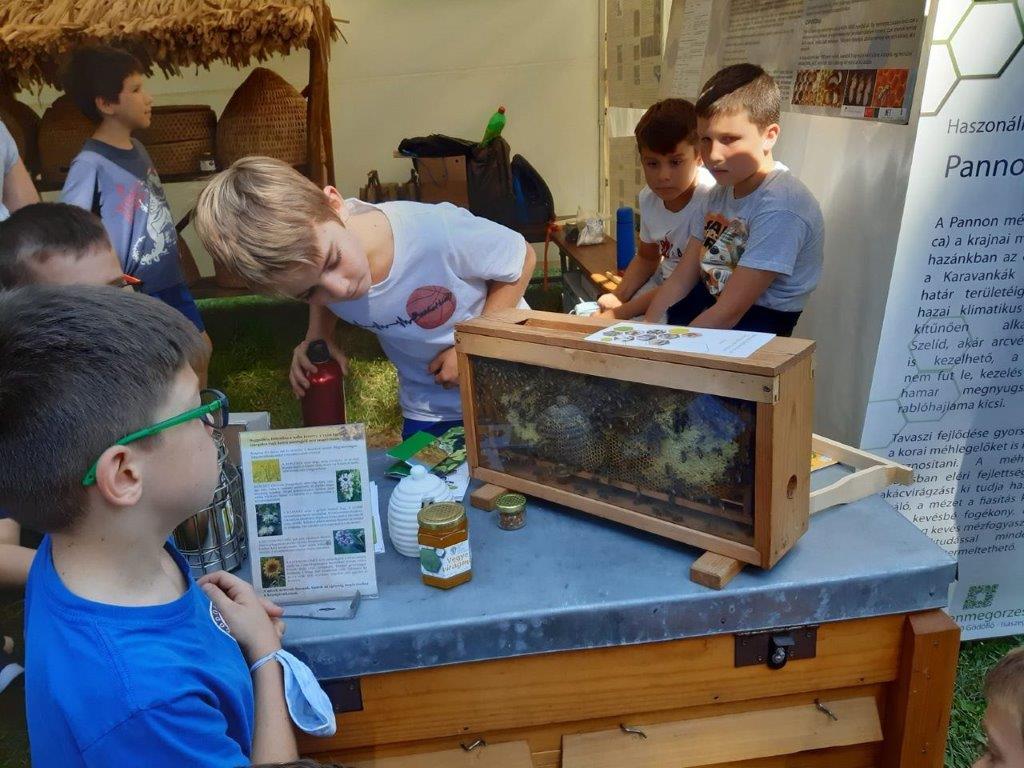 Nature and Environmental Protection Festival